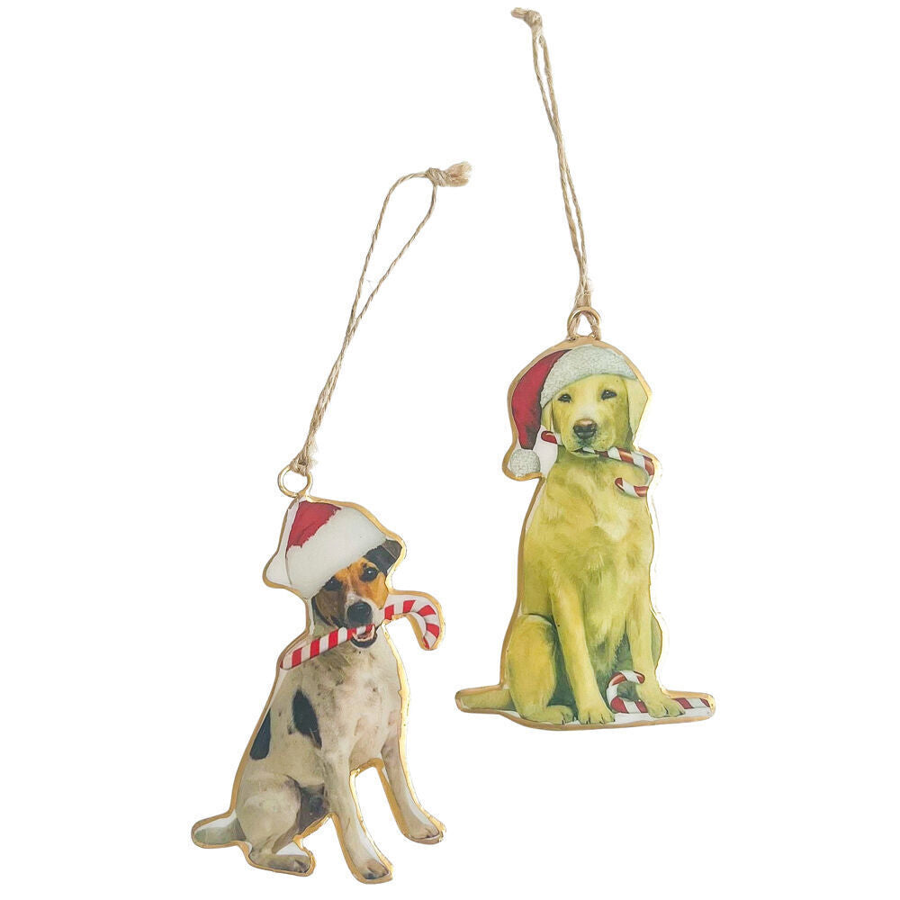 Urban Dogs with Candy Canes Metal Hanging Decoration 11cm White/Red Assorted (4 Pack) — image 3