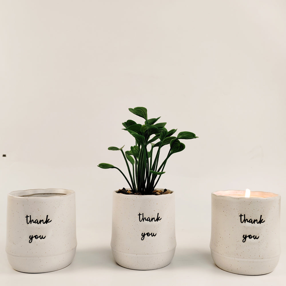 Urban Positivity Quote 9cm Thank You Potted Plant Artificial Pot Home Decor — image 2