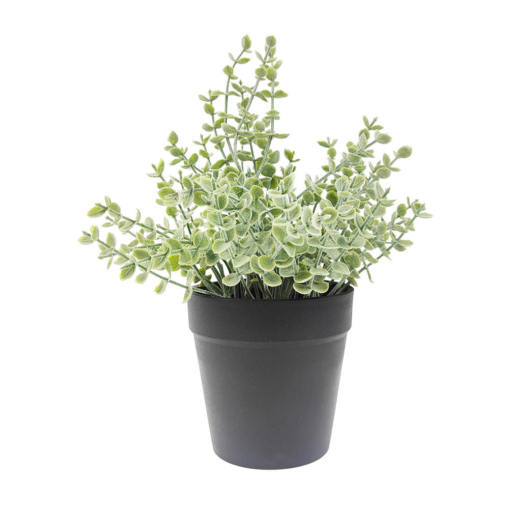 Urban Eucalyptus 23cm Artificial Potted Plant Fake/Faux Indoor Home Decor Green