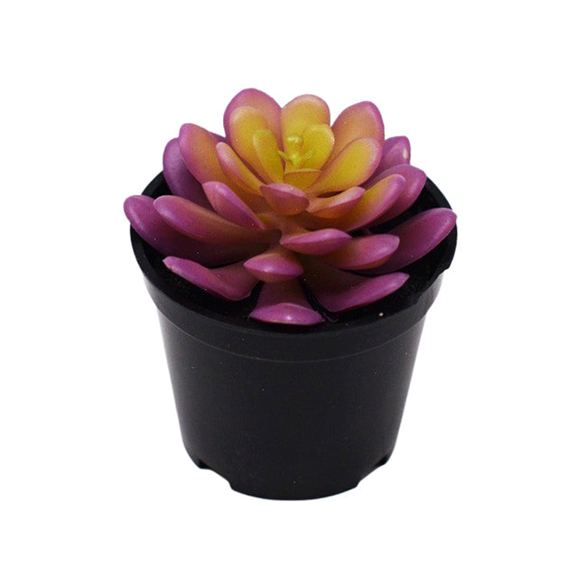 Urban Potted Artificial 9cm Hens Chicks Succulent Plant Fake/Faux Decor Pink