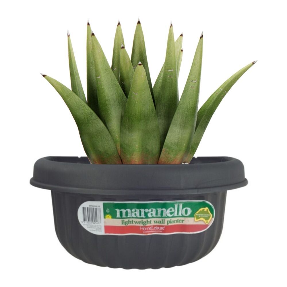 Homeleisure Wall Planter 370mm Charcoal Outdoor Decorative Garden Decor — image 2
