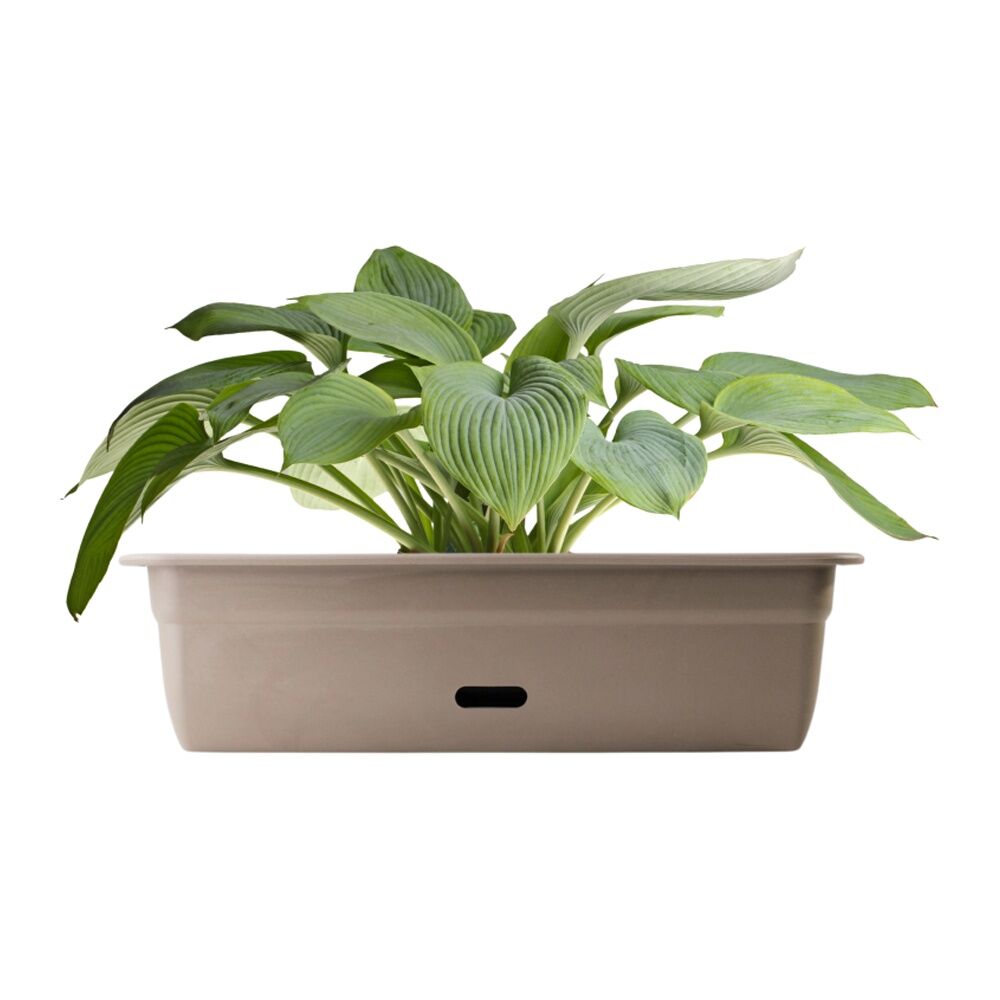 Homeleisure WaterSaver Rect Planter Flower/Plant Pot Garden Decor 60cm Taupe — image 2