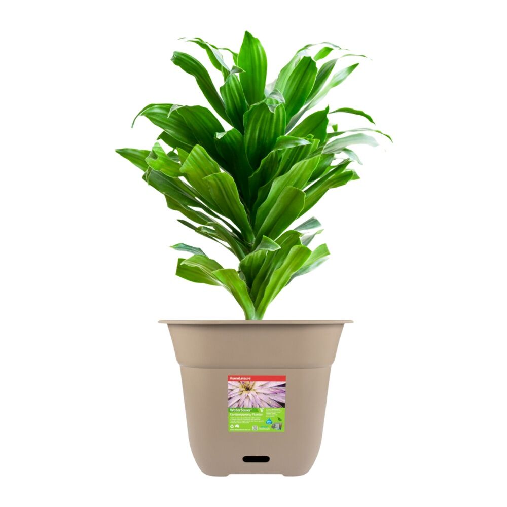 Homeleisure WaterSaver Square Planter Flower/Plant Pot Garden Decor 40cm TPE — image 2