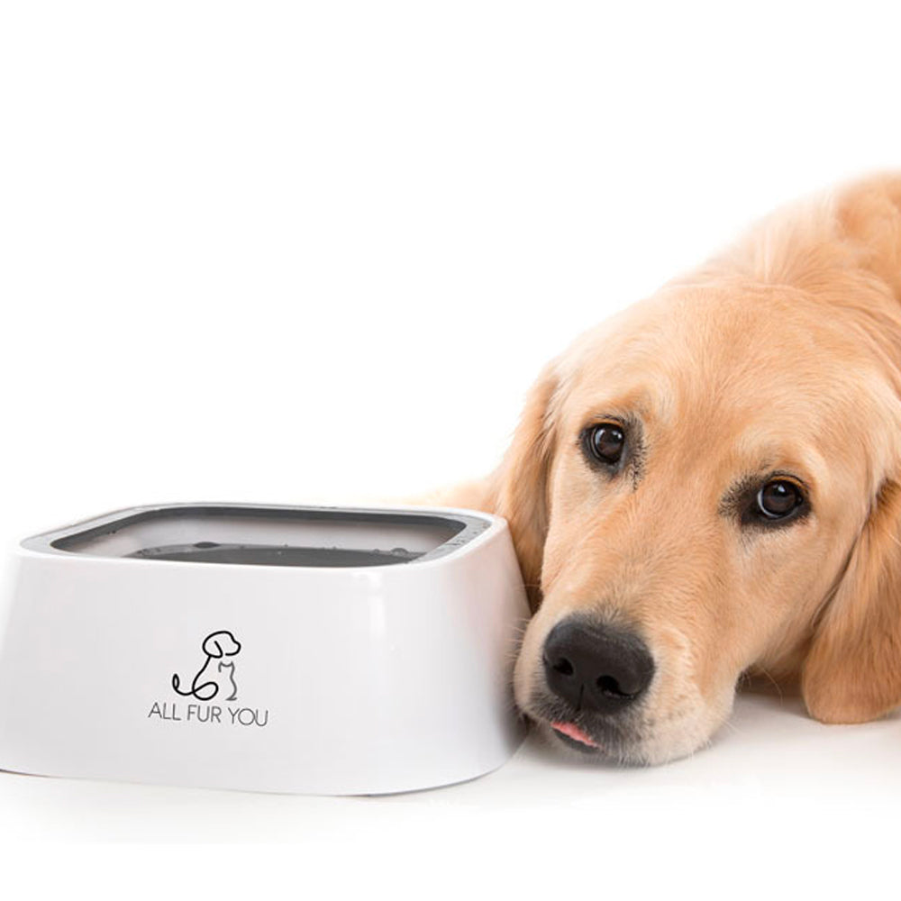 All Fur You Anti Splash Pet Dog/Cat Water Bowl/Feeder Anti Spill Drinking — image 3