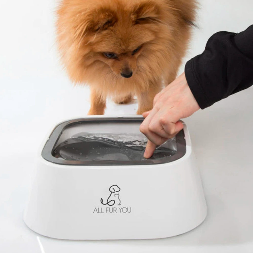 All Fur You Anti Splash Pet Dog/Cat Water Bowl/Feeder Anti Spill Drinking — image 4