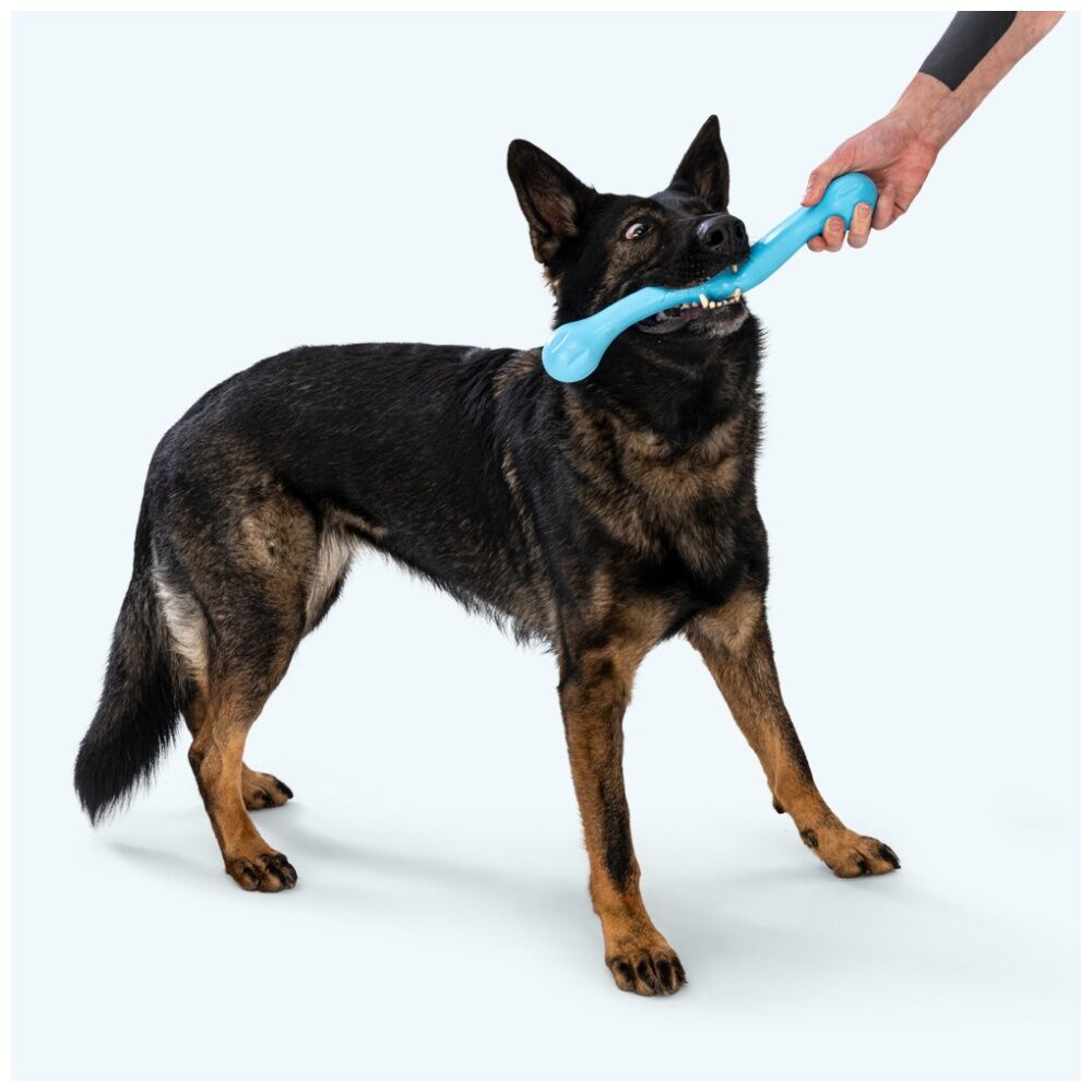 West Paw Dandelion Zwig Pet Dog Fetch Throwing Soft Chew Toy — image 2