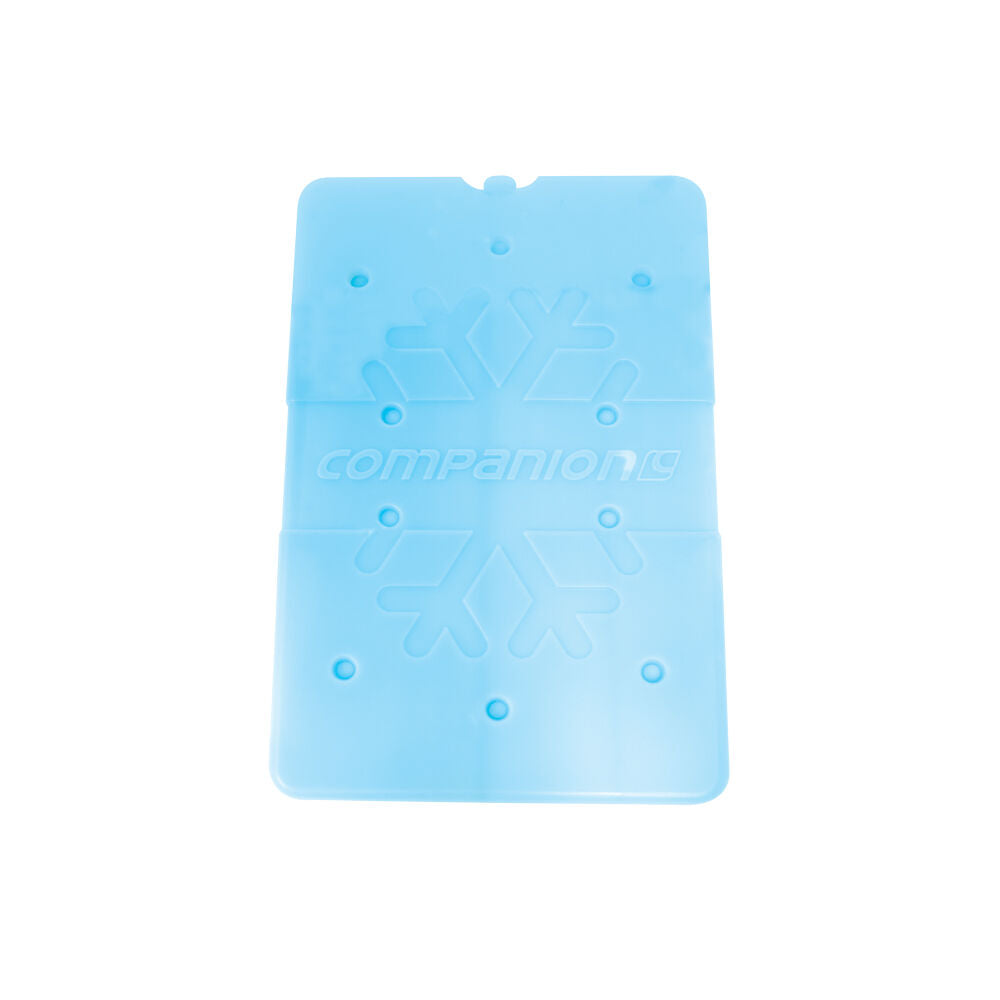 10000101-companion-650ml-ice-travel-cooler-brick-slim-large-31x21cm-blue
