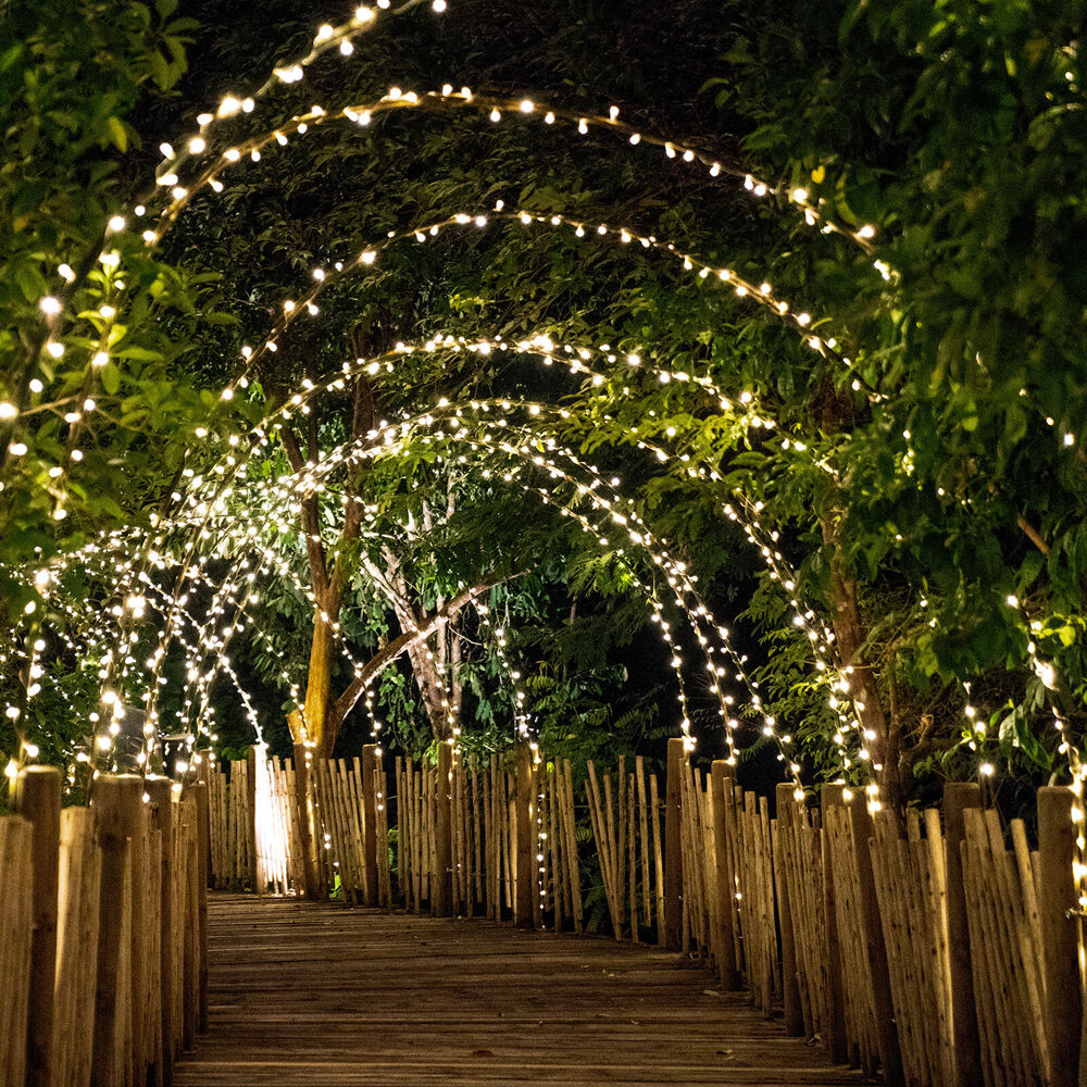 Lumifx 15m Warm White 300 Bulb LED Wifi Smart String Lights Indoor/Outdoor — image 4