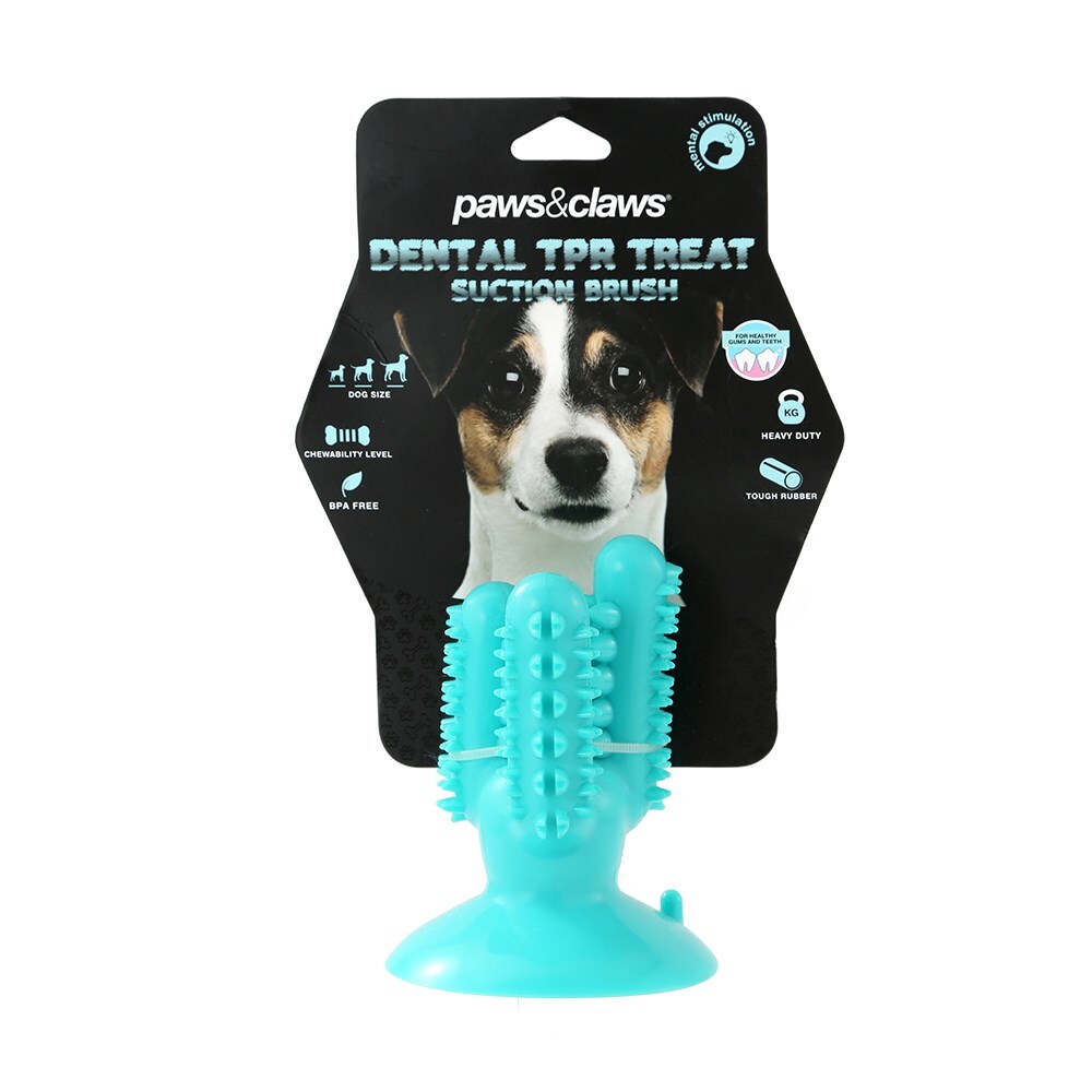 Paws and Claws 13cm Cactus Suction Brush Dental Treat Pet Dog Rubber Toy Teal (2 Pack) — image 2
