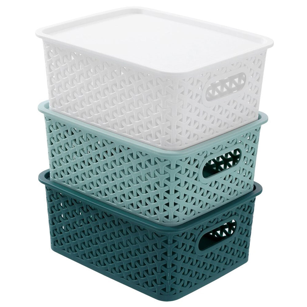 Boxsweden Wicker 25cm Woven Basket Home Organiser Storage w/ Lid Small Asst (4 Pack) — image 6