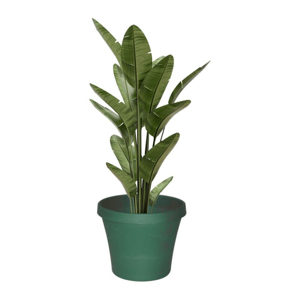 Homeleisure Planterra Durable Planter Pot 500mm Green Outdoor Garden Decor (2 Pack) — image 2