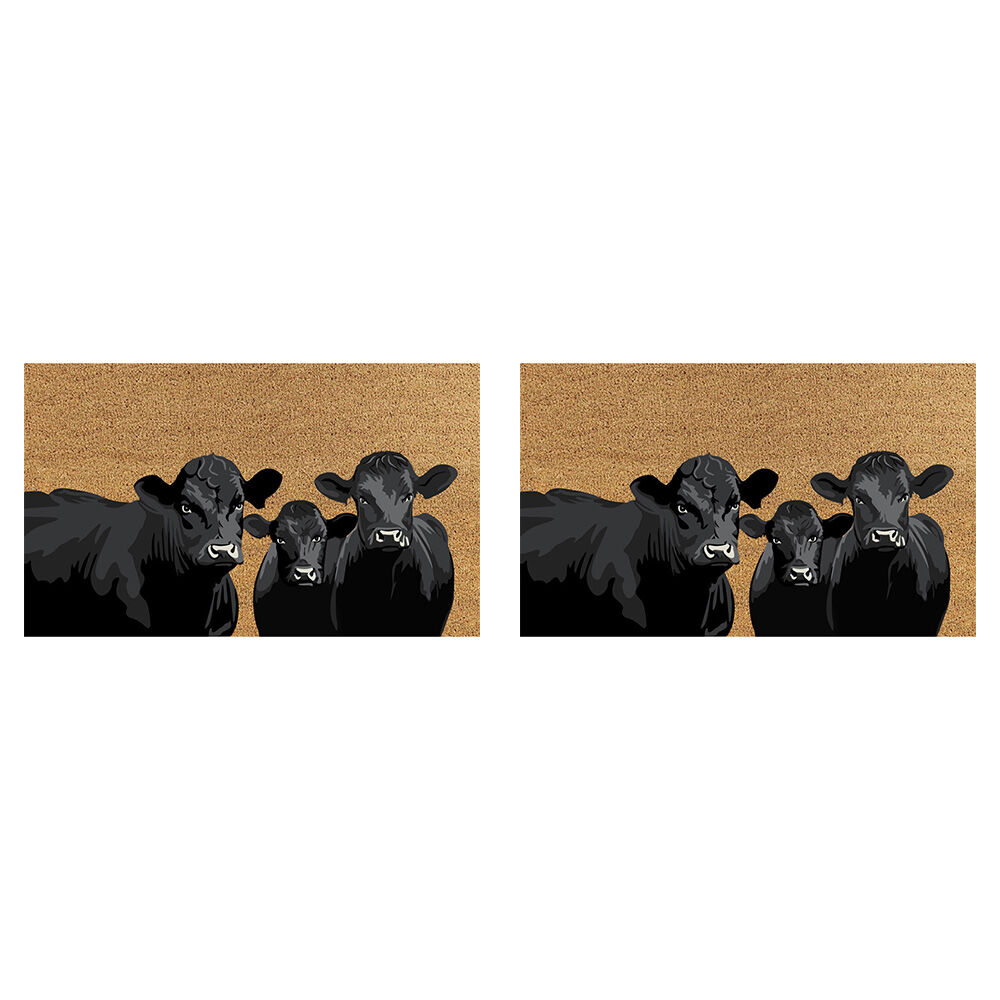 Solemate PVC Backed Coconut Coir Angus Slimline Functional Doormat 45x75cm (2 Pack)