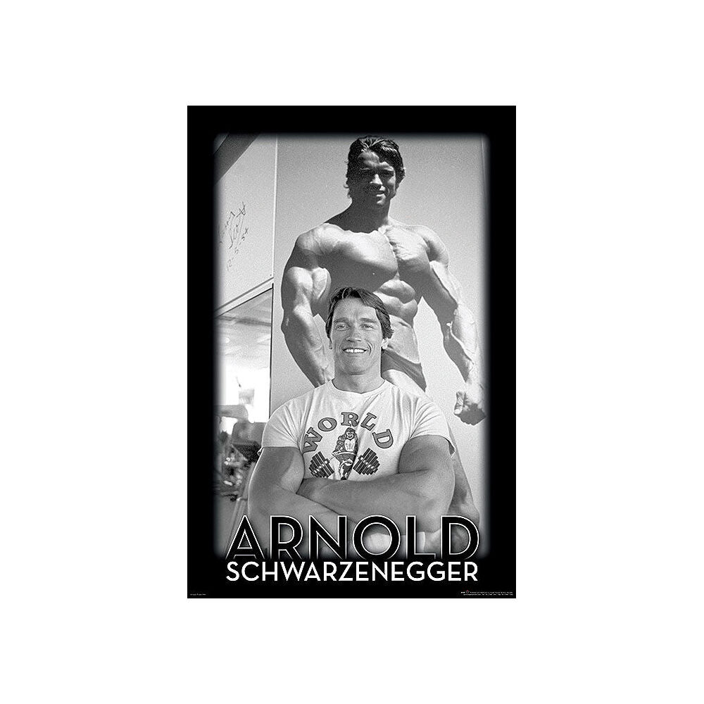 4169-impact-merch-arnold-schwarzenegger-poster-91-5x61cm