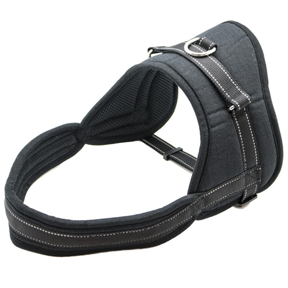 Paws and Claws 70-90cm Strong Adjustable Harness - Large (2 Pack) — image 2