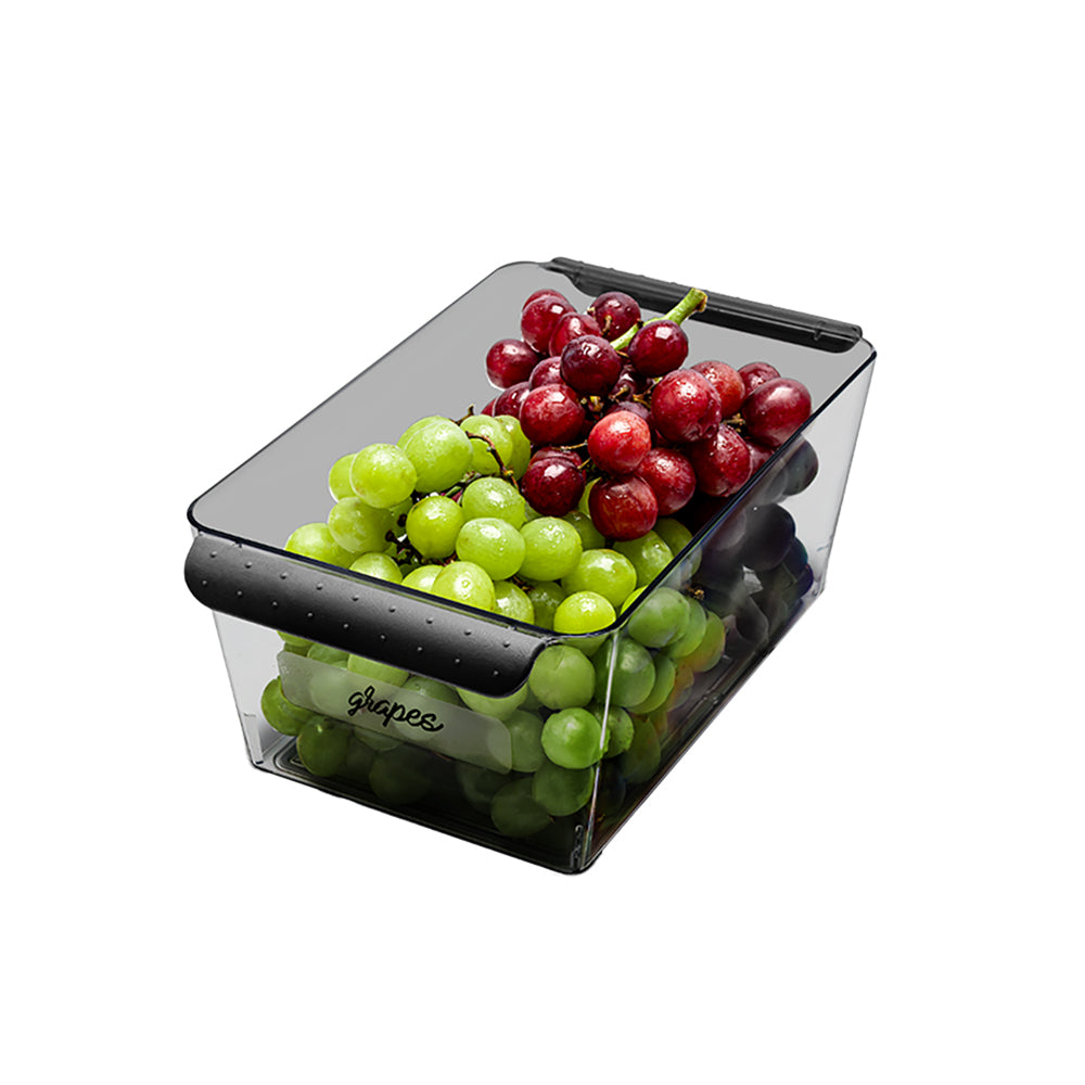 4507-2cs-madesmart-short-deep-bin-kitchen-organiser-rectangle-26x15cm-carbon