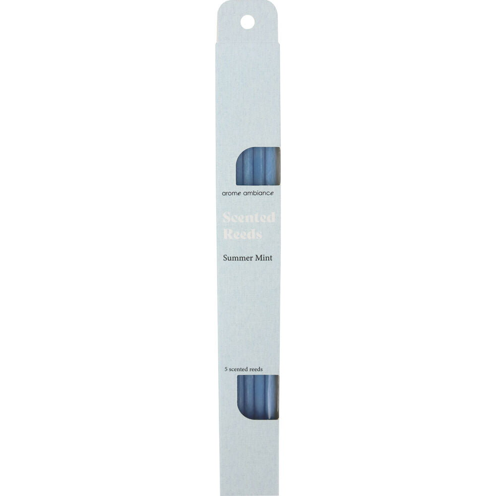 4965-5pc-arome-ambiance-scented-reeds-3-6x29cm-summer-mint-blue