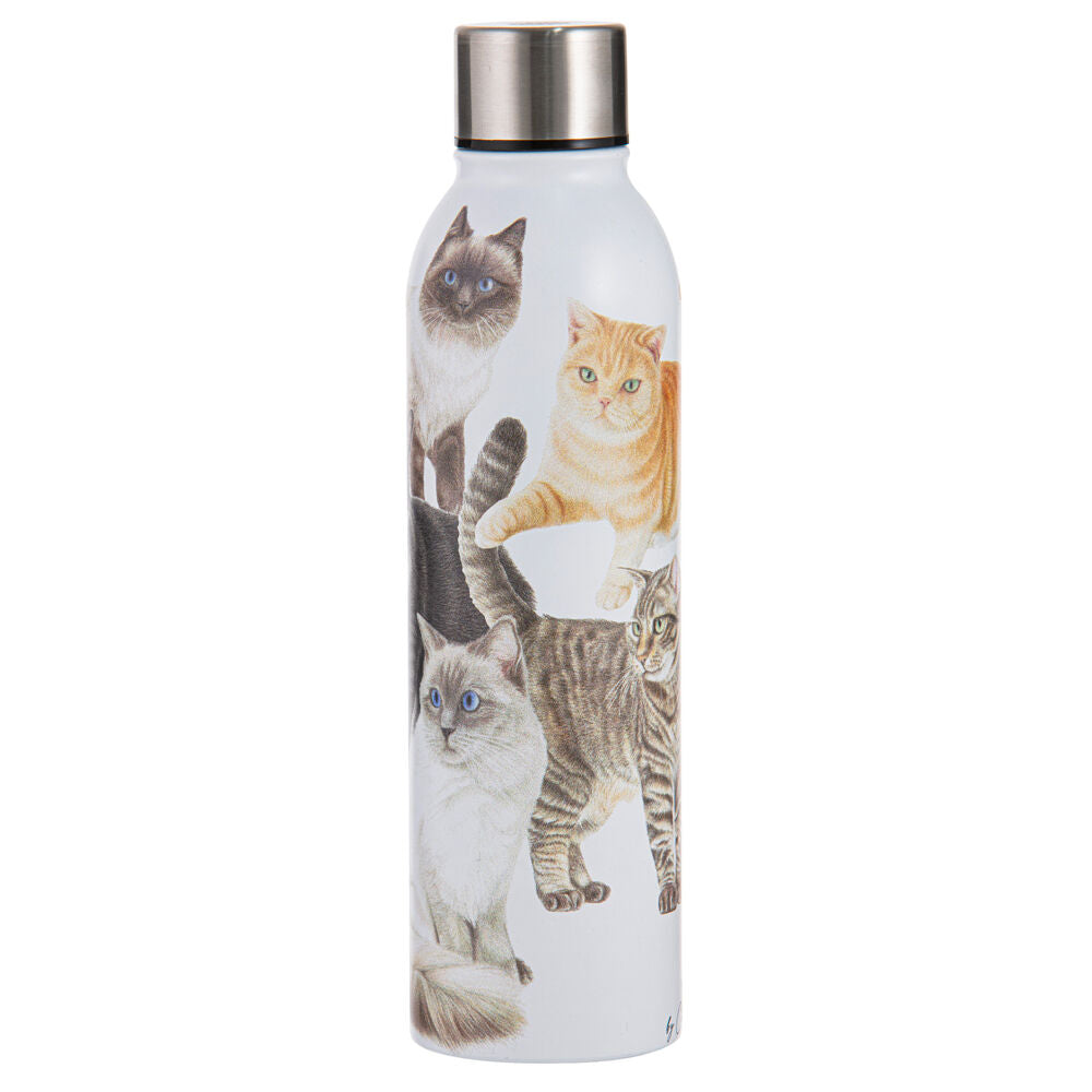 522297-ashdene-purrrfect-moments-water-drink-bottle-24-5cm