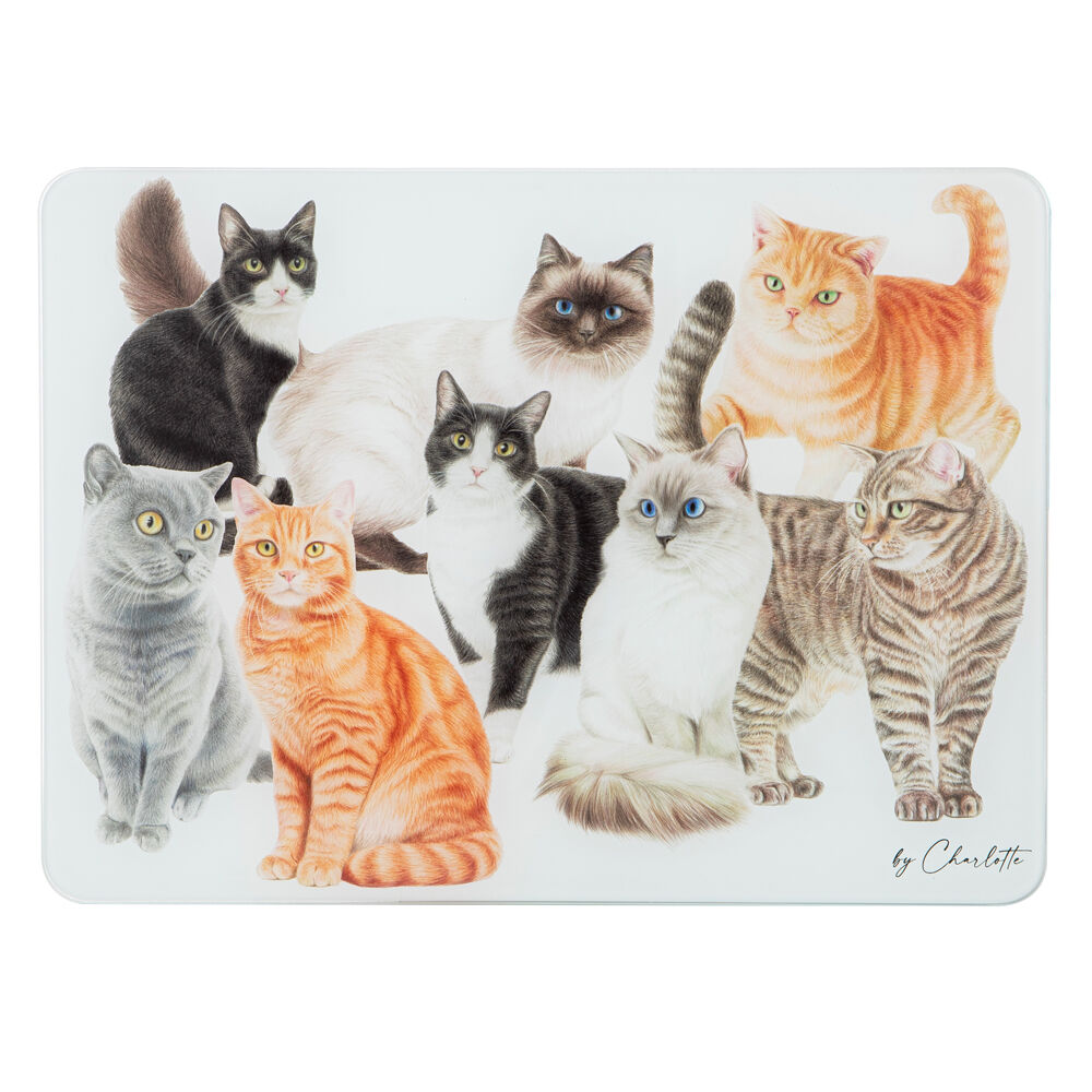 522301-ashdene-purrrfect-moments-surface-protector-placemat-30x40cm-white