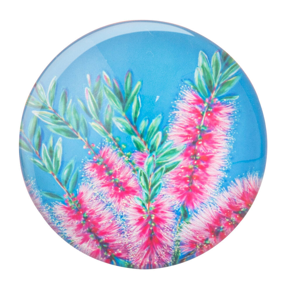 Ashdene 6pc Ashdene Native Flora Print Round Decorative Fridge Magnet Set 5cm Dia (2 Pack) — image 5