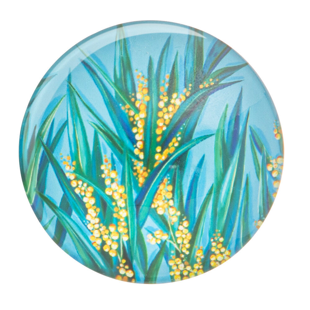 Ashdene 6pc Ashdene Native Flora Print Round Decorative Fridge Magnet Set 5cm Dia (2 Pack) — image 7