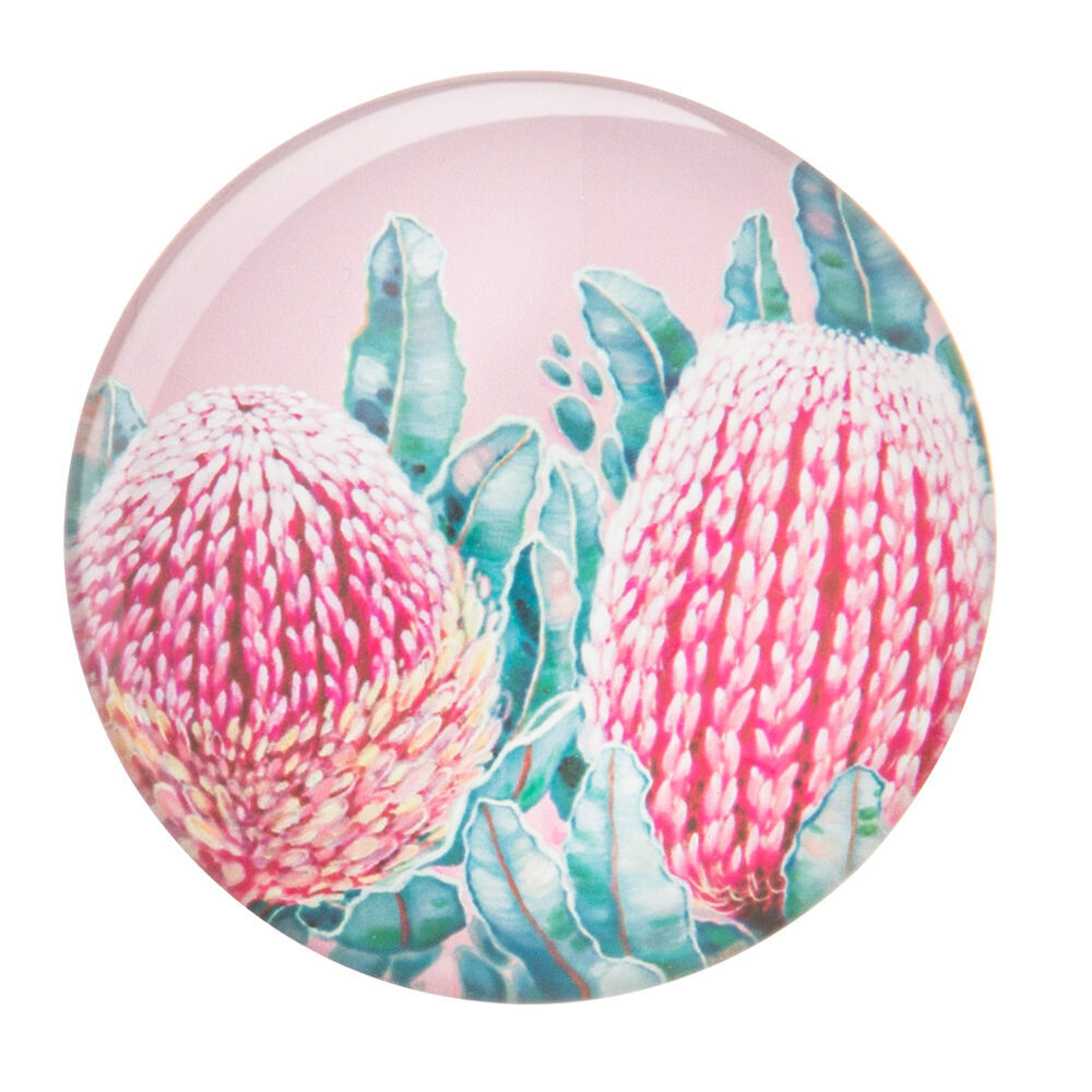 Ashdene 6pc Ashdene Native Flora Print Round Decorative Fridge Magnet Set 5cm Dia (2 Pack) — image 8