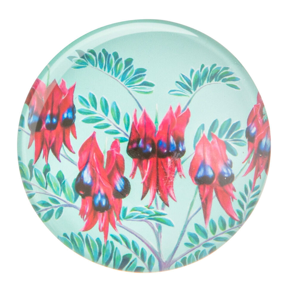Ashdene 6pc Ashdene Native Flora Print Round Decorative Fridge Magnet Set 5cm Dia (2 Pack) — image 9