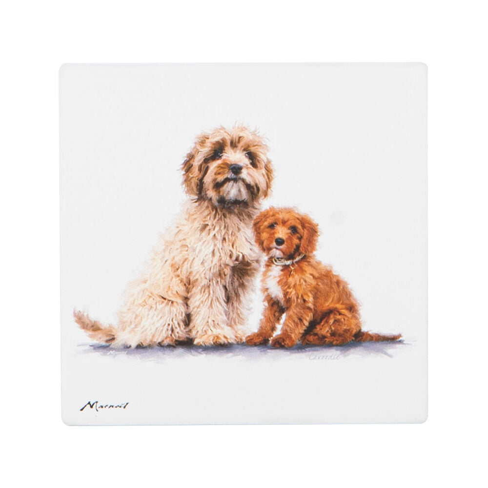 522398-ashdene-puppy-love-cavoodle-ceramic-coaster-square-10x10cm