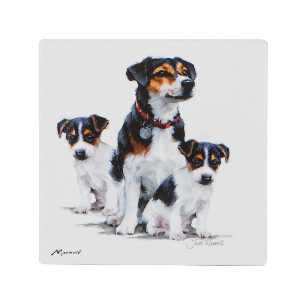 522405-ashdene-puppy-love-jack-russell-ceramic-coaster-square-10x10cm