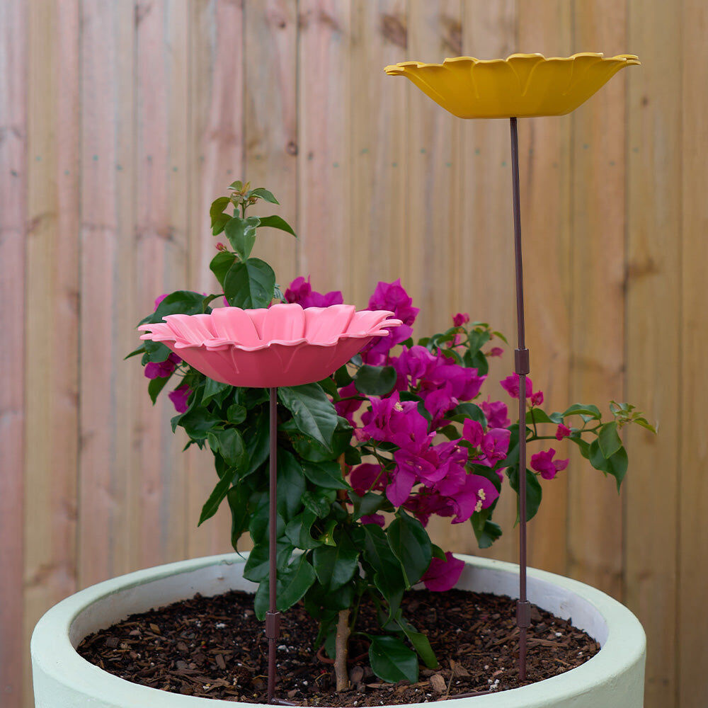 Annabel Trends Bamboo Bird Bath Sunflower w/ Iron Stand 60cm Yellow (2 Pack) — image 6