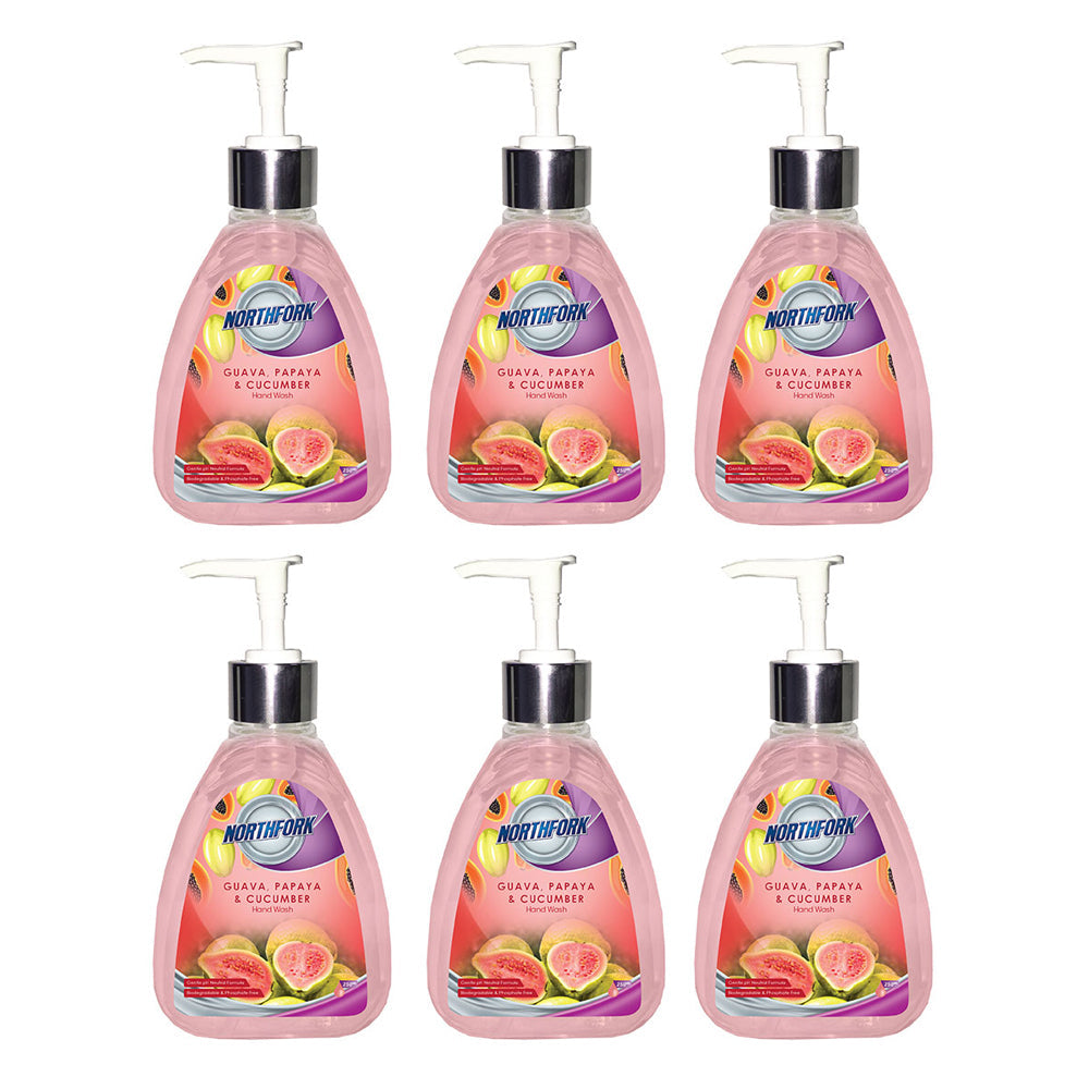 Northfork 250ml Hygienic Cleaning Liquid Hand Wash Guava, Papaya, Cucumber (6 Pack)