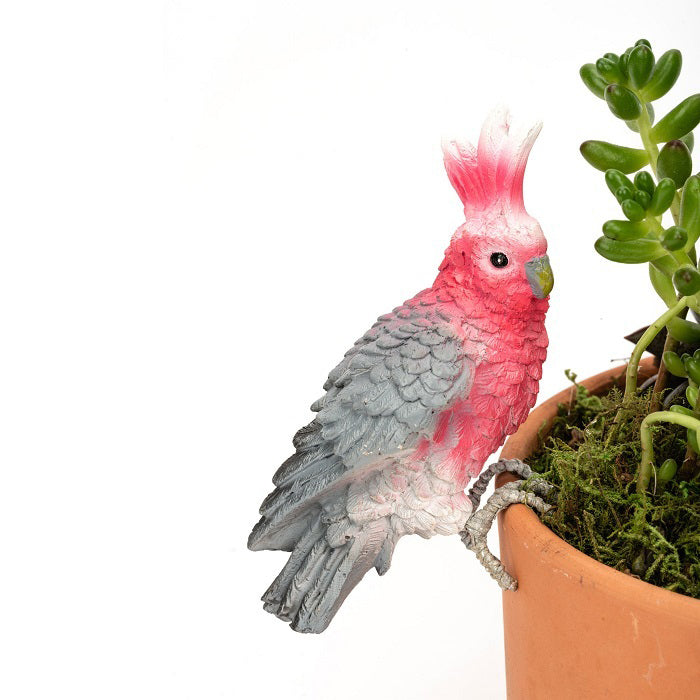 14054-garden-polyresin-13cm-galah-pot-sitter-ornament-decor