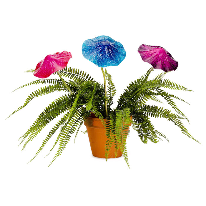 18366-fairy-36cm-mushroom-w-sprung-head-large-assorted