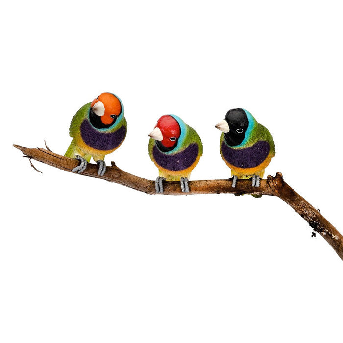 19059-gouldian-finch-12cm-pot-sitter-outdoor-decor-assorted