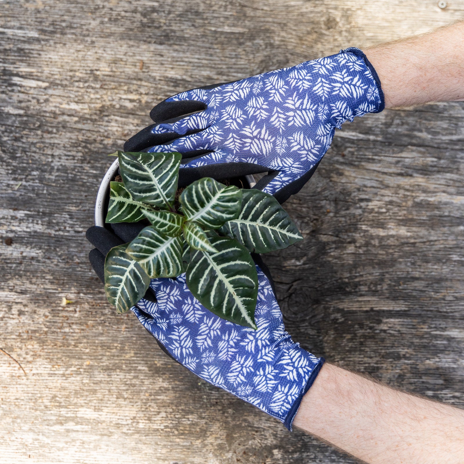 20113901-cyclone-size-large-gardening-gloves-fern-pattern-polyester-nitrile-purple-black
