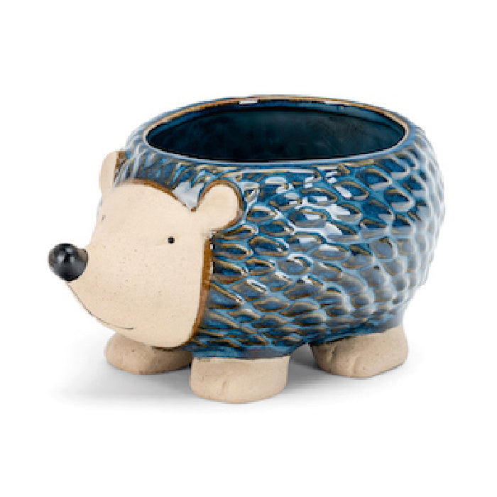 21380-echidna-17-5cm-pot-planter-garden-decor-large-assorted