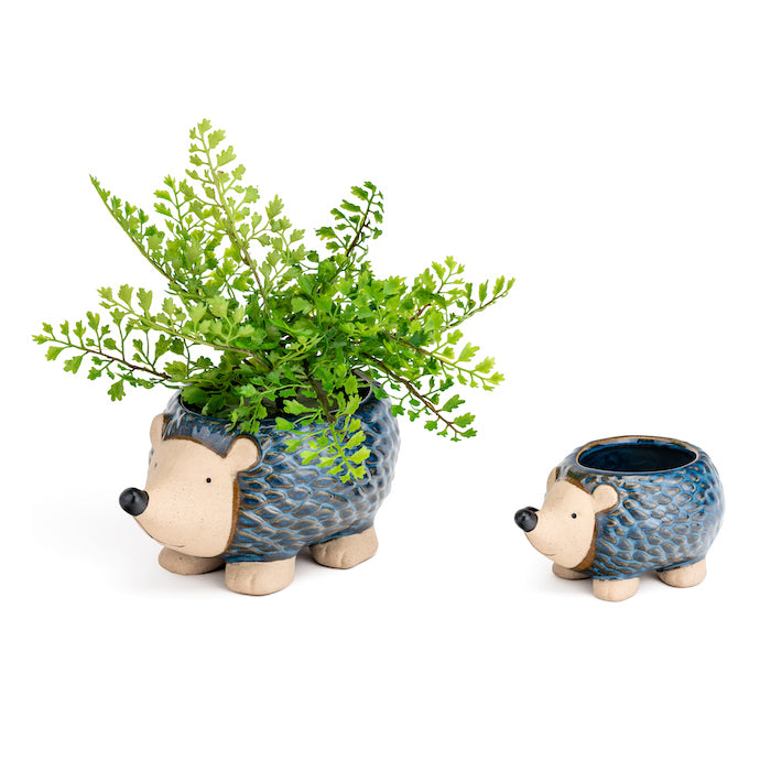 21380-echidna-17-5cm-pot-planter-garden-decor-large-assorted