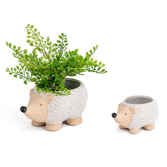 21397-echidna-12cm-pot-planter-garden-decor-small-assorted