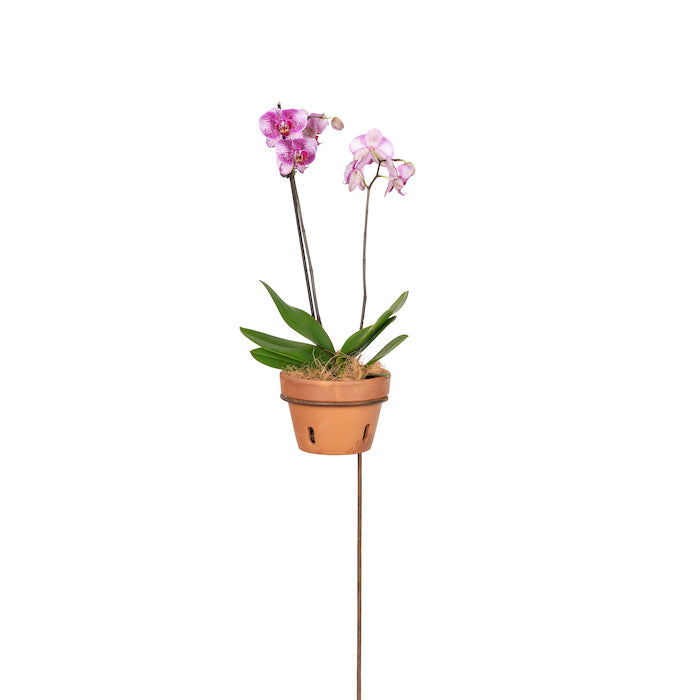 22691-stake-60cm-pot-holder-display-stand-storage-garden-display-large