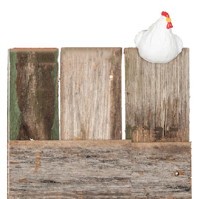 22899-chicken-10cm-pot-planter-sitter-ornament-decor-large-white-assorted