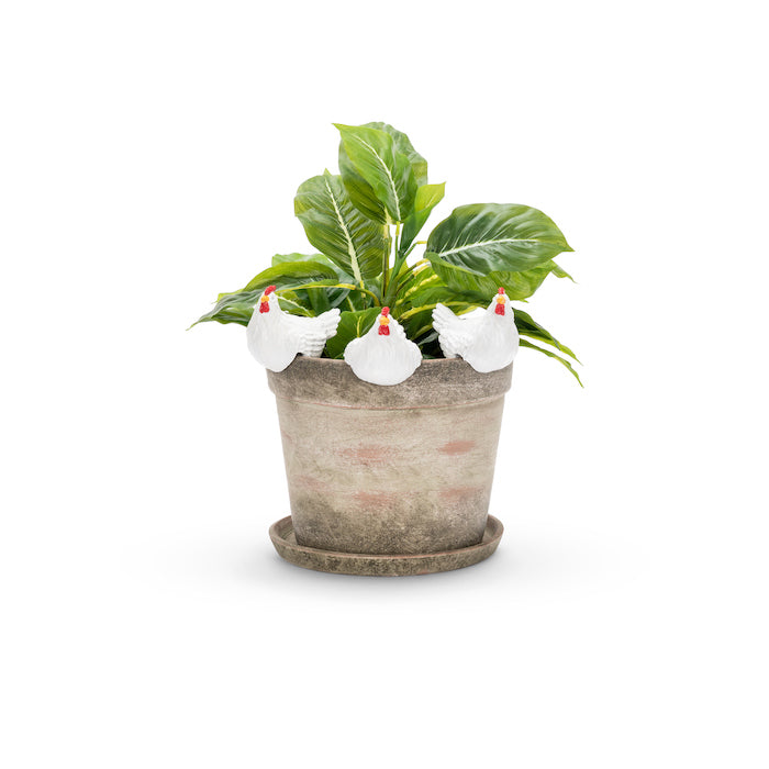 22899-chicken-10cm-pot-planter-sitter-ornament-decor-large-white-assorted