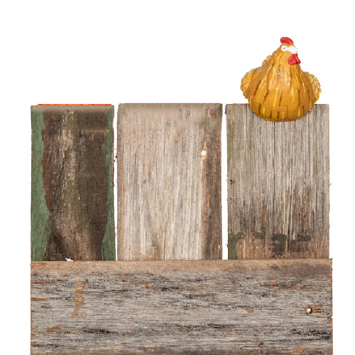 22905-chicken-10cm-pot-planter-sitter-ornament-decor-large-coloured-assorted