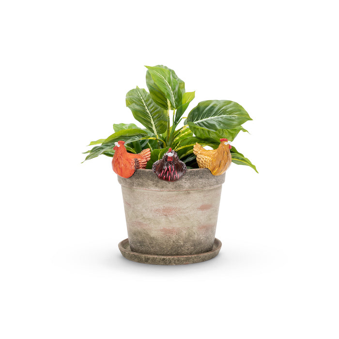 22905-chicken-10cm-pot-planter-sitter-ornament-decor-large-coloured-assorted