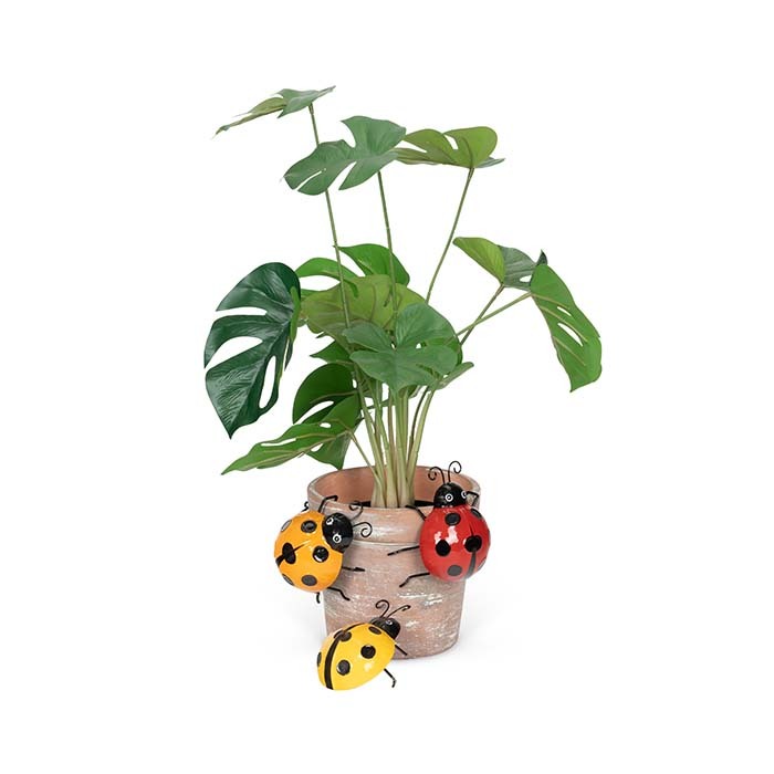 25050-ladybug-10cm-pot-planter-sitter-garden-decor-small-assorted