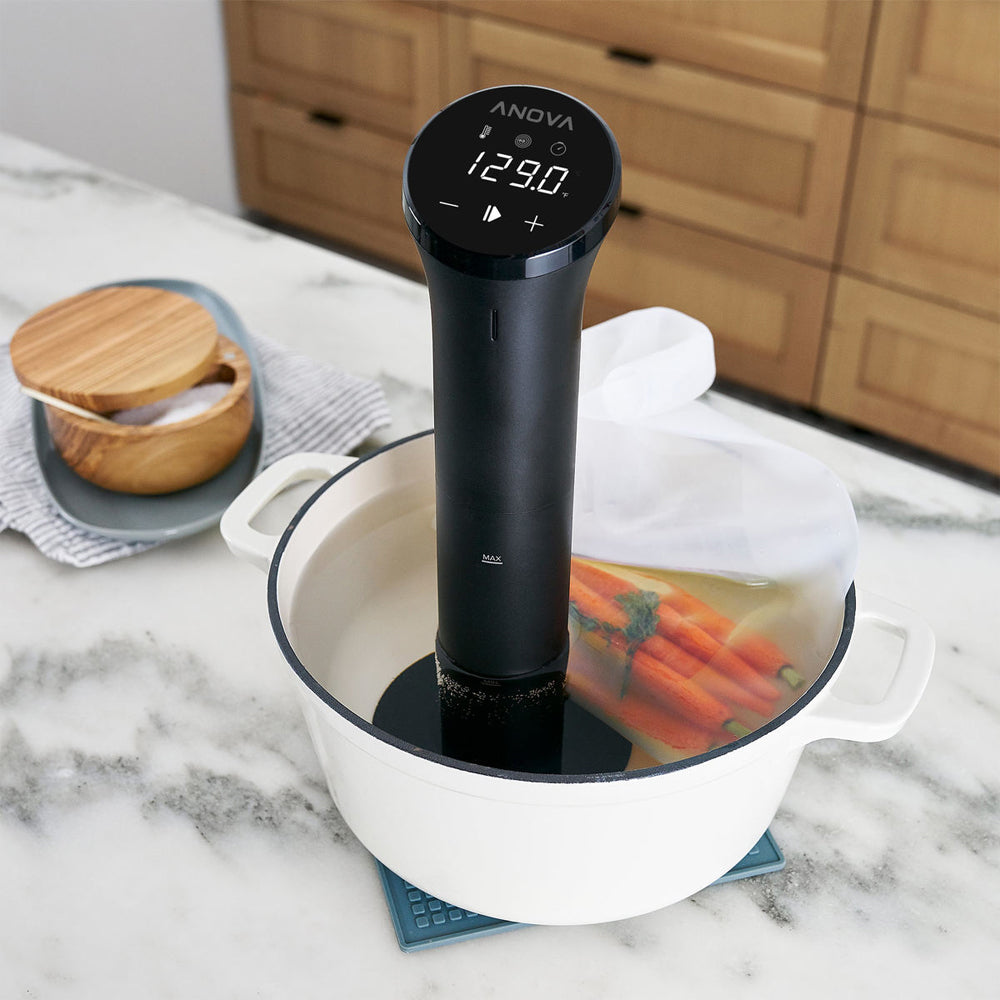 251765-anova-precision-cooker-nano-sous-vide-stick-base-stand