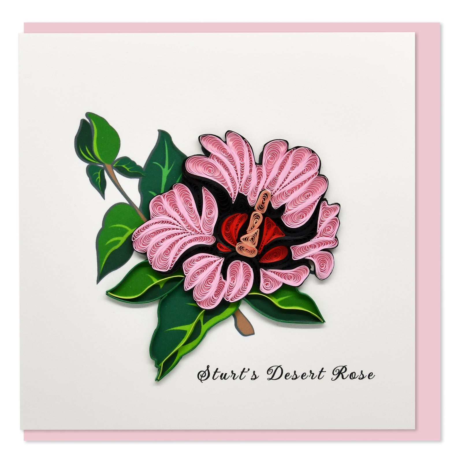 52l060-boyle-handmade-paper-15x15cm-quilled-greeting-card-sturts-desert-rose-flower