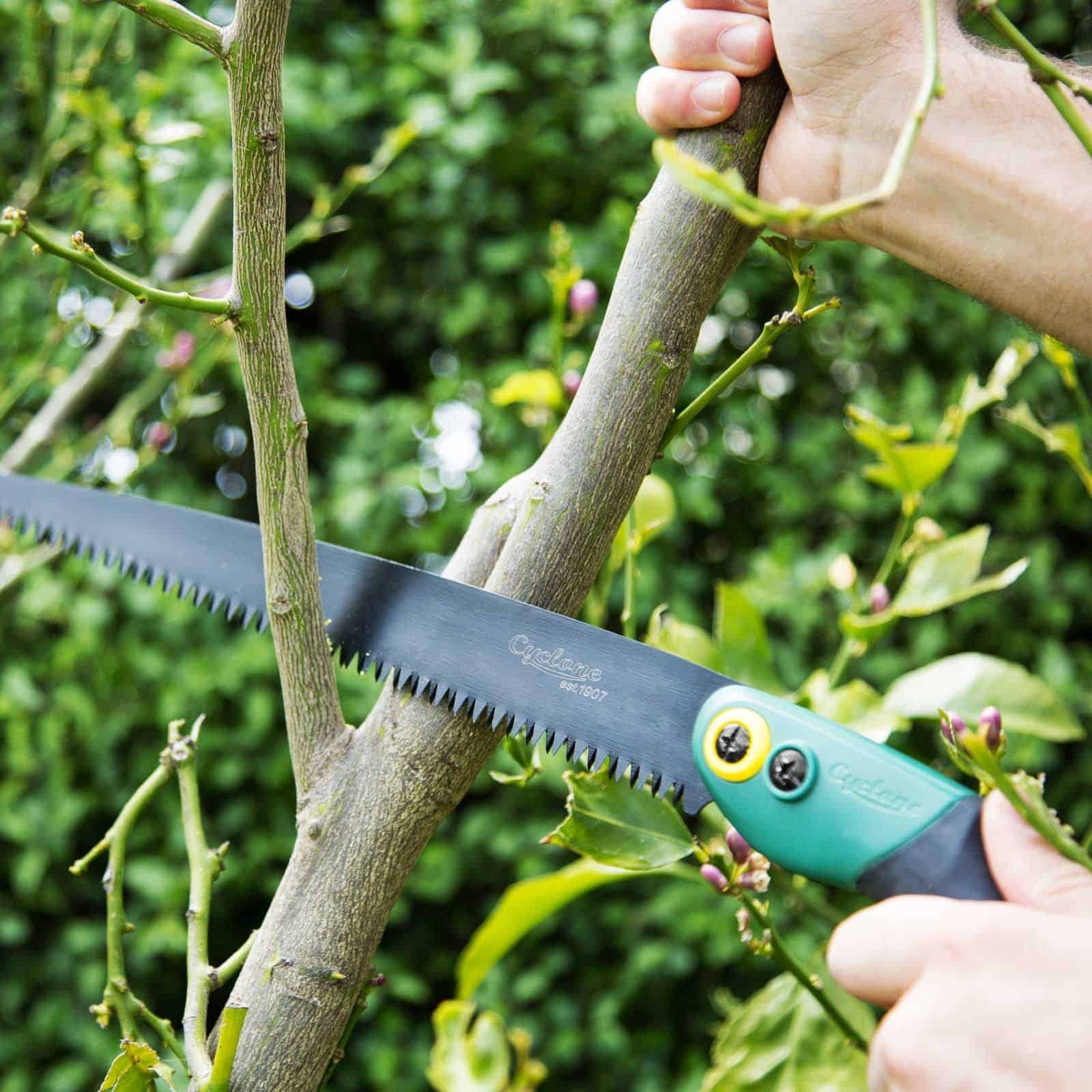 656866-cyclone-pruning-saw-straight-fixed-plant-flowers-cutting-gardening