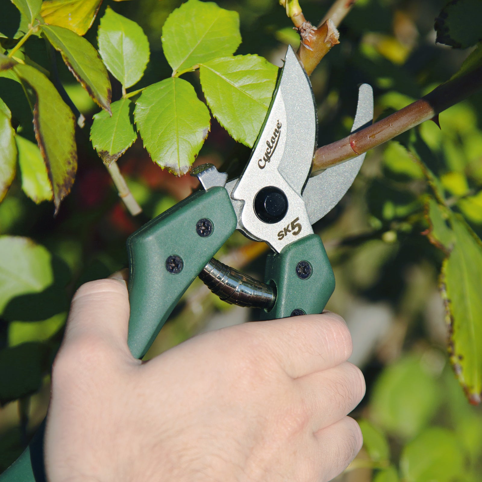 660436-cyclone-quick-release-bypass-pruner-200mm-plant-flowers-cutting-gardening