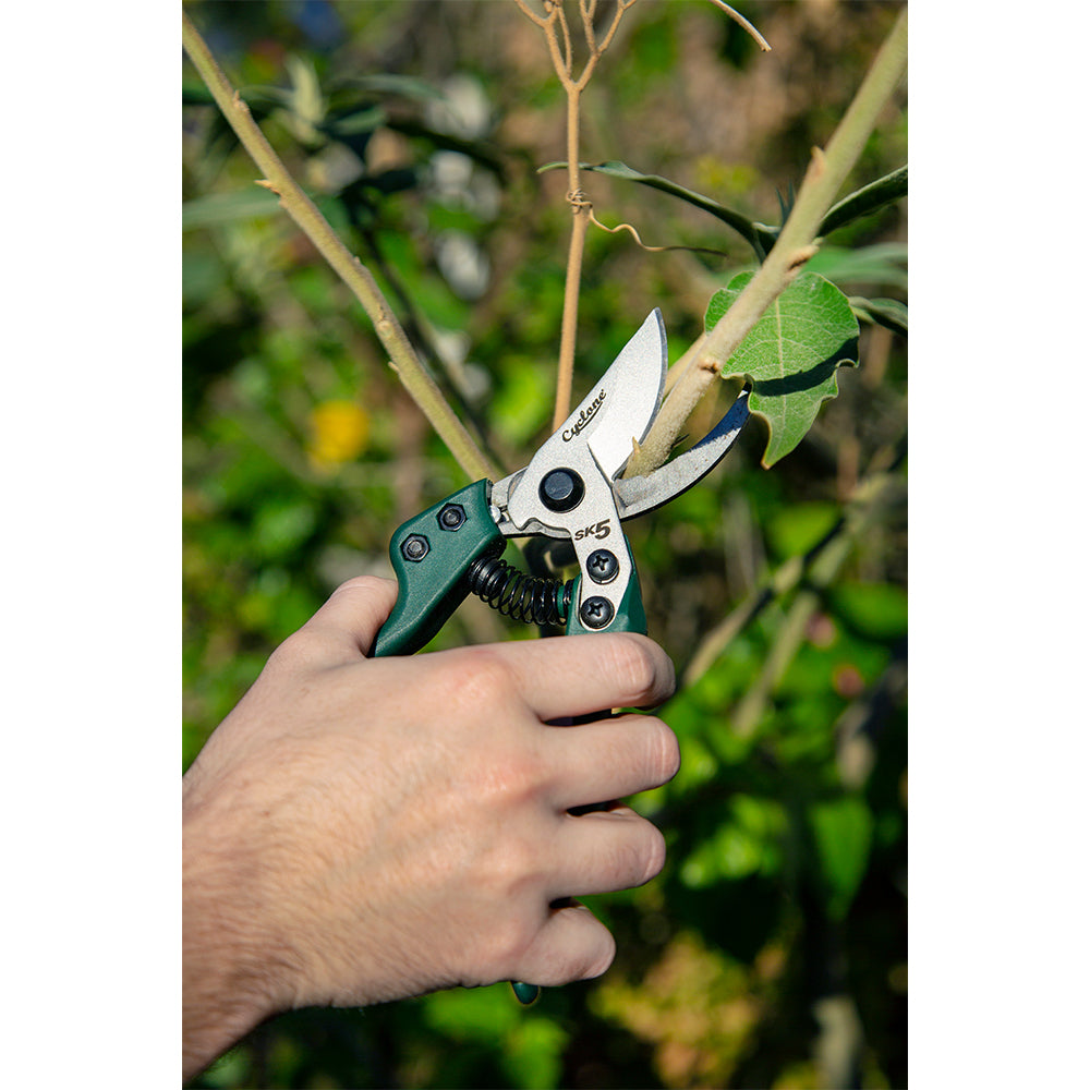660450-cyclone-ergonomic-bypass-pruner-210mm-plant-flowers-cutting-gardening