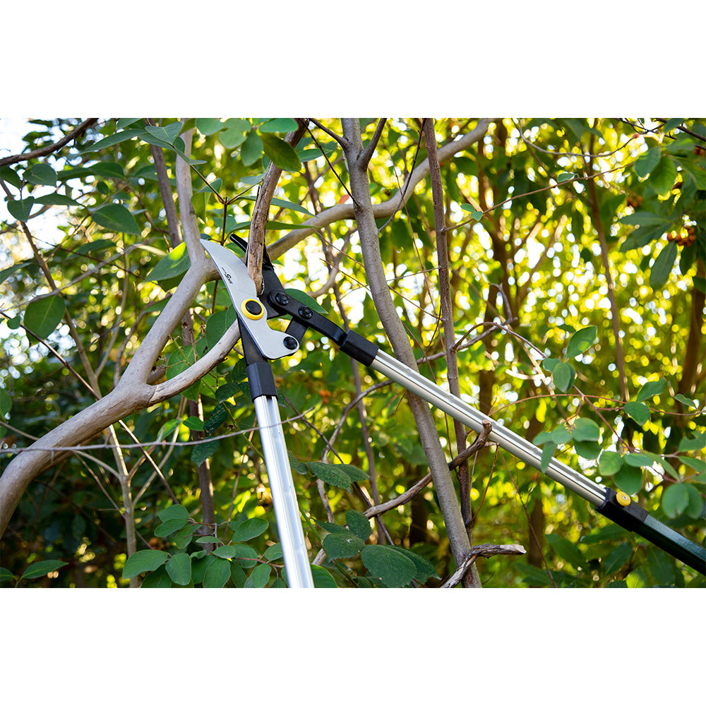 660528-cyclone-compound-telescopic-bypass-lopper-plant-flowers-cutting-gardening