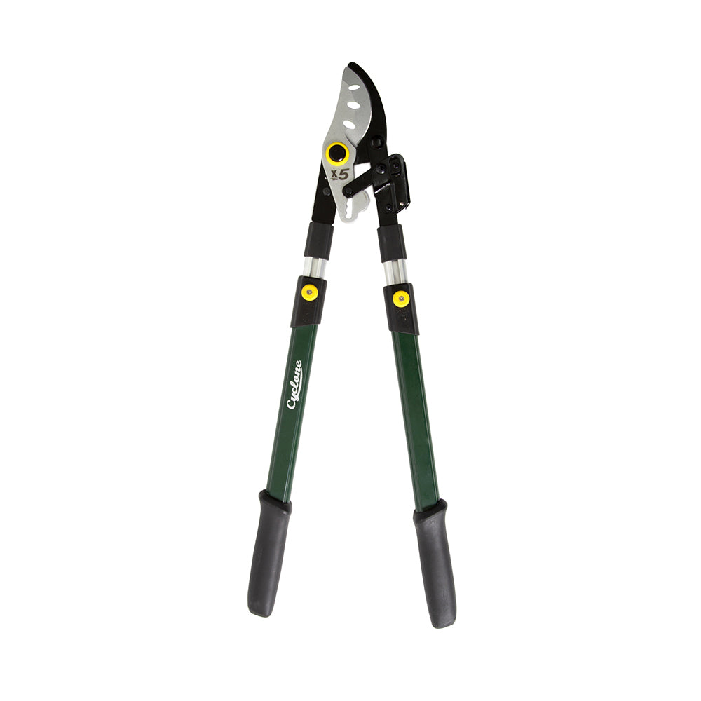660535-cyclone-ratchet-telescopic-bypass-lopper-plant-flowers-cutting-gardening